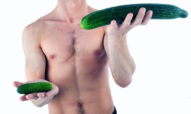 Visualização de um pênis masculino pequeno e grande